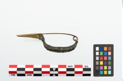 Foto von Bronzekahnfibel (NHMW-PRAE-023653)